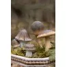 Dekorativní polyrezinová houba Ø 7×16 cm - fotografie 4