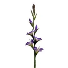 Fialová umělá gladiola – mečík