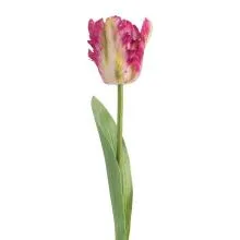 Umělý tulipán