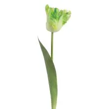 Umělý tulipán