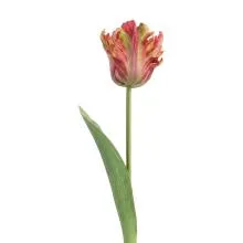Umělý tulipán