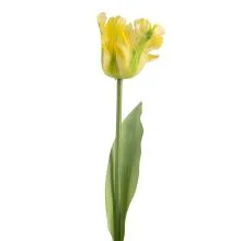 Umělý tulipán