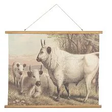 Nástěnná mapa COW
