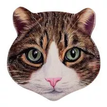 Keramická podložka pod nádobí CAT 20x20 cm
