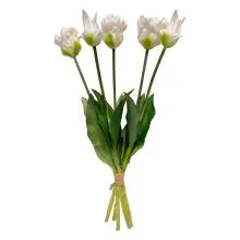 6PL0430W 42 cm