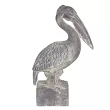 Pelikán