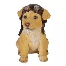 Pes pilot