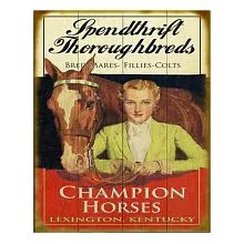 Plechová cedule CHAMPION HORSES