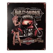 Plechová cedule HARLEY DAVIDSON 20x25 cm