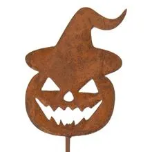 Brown 6Y6112