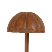 Brown 6Y6152