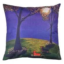 Povlak na polštář 43*43 cm