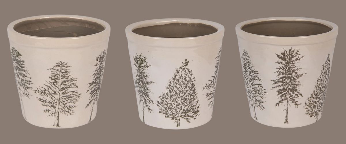 Natural Pine Trees K