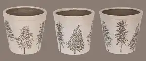 Natural Pine Trees K